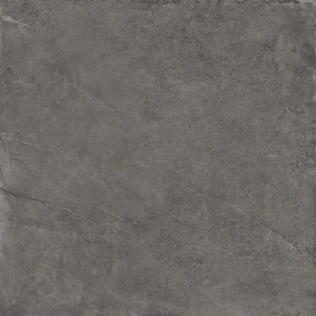 6f47e818541304c8a9a722e075ed562e