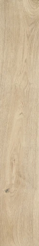 Przejdź do produktu Ragno Grove Albero Rt 20x120cm