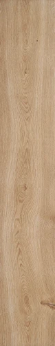 Przejdź do produktu Ragno Grove Legno Rt 20x120cm