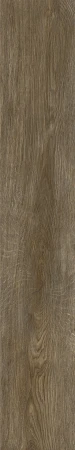 4100043bf16369291068e699c1579189