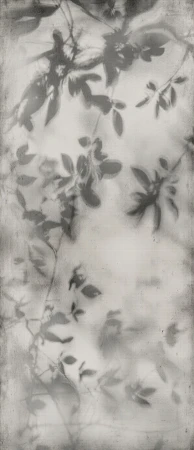 ee5a2a3fdabd3fdee59e05599ce77164