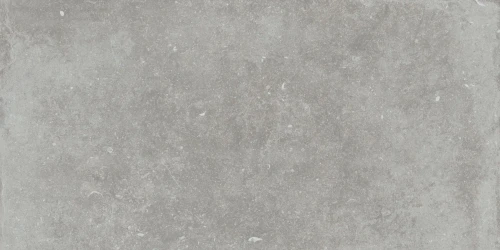 Przejdź do produktu Flaviker Nordik Stone Ash  Nat. Ret.60X120 cm