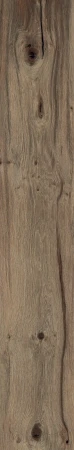 fd1d887e194afc1ae662bfa3c46a6947