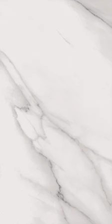00008b92f64051c1cff447b274e423c5