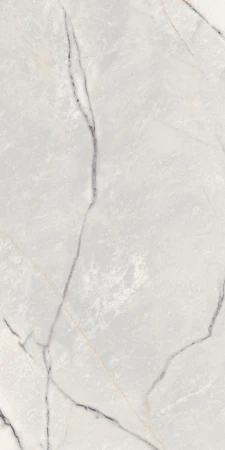 Supreme Treasure Greylac Platinum 60x120_03.www.lazienek.pl.webp