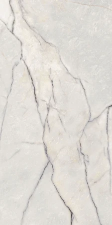 Supreme Treasure Greylac Platinum 60x120_04.www.lazienek.pl.webp