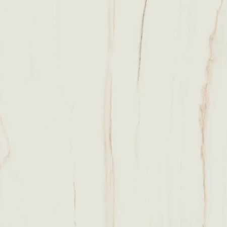 fbcff6035e294d7abe9c2cc4a5b2f356