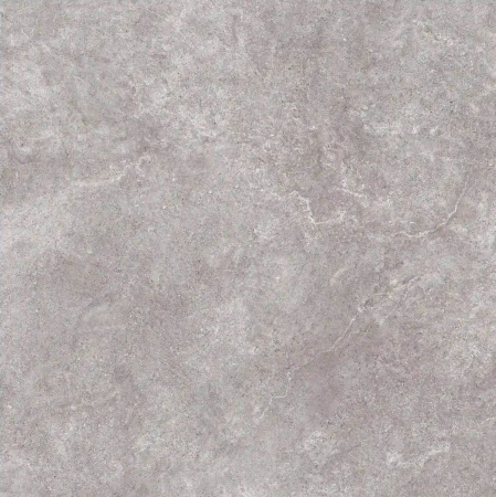 85e6f56cc6c18aad9cecf77bd3a3abf3