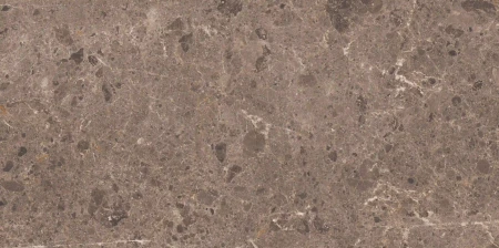 32760de481ca454d2fc4d4a6d6ed198b