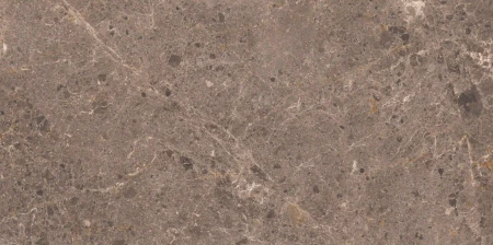 d1bc2ba2eb6cf86e214491d5be7bb8b0