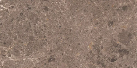 737ecd9fe42ea7fb737ee665fbedc2b0