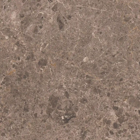 d9952bb1f778e8e991568d2680b71575