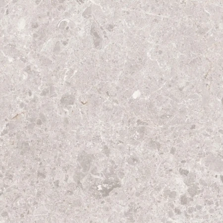 f455dcc46e58ced8607870485141a893