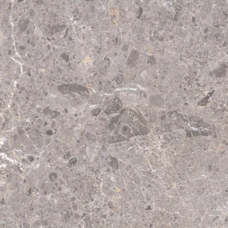 accdb75b2288ee4fd66761837db85479