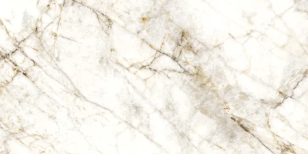 69fa028cbd42cf55c38365128f91d669