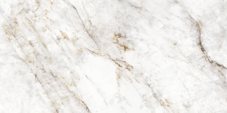 396608d11d70232612e1f4e5f9026779