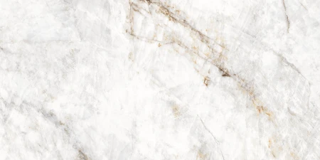 d23c51d22fe8521aabc6a0e6633de3e8