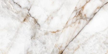 711a33ea4f9f0de32630697970eb95c5