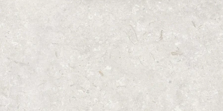 31d30149f81ee28668e624d8c1c6da22