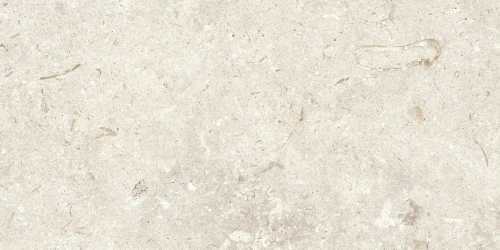 Przejdź do produktu Grespania Fosil Bone 30X60 cm / 31F147R