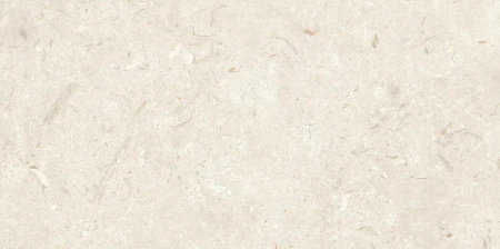 832a9c113843999a545c5dc55d06e11d