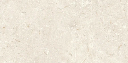 a2594bf7df91af4457728ceb1b99ea8c