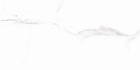 313b9554970390c4adc337219d9c251e