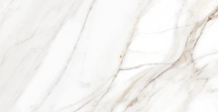 97d5a43db7ed18c712338649e26239ea