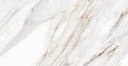 4fff8f2fb86447d1ae1d11c12763030c