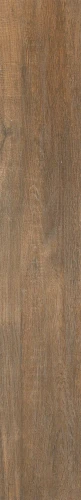 Przejdź do produktu Grespania Sajonia Cere 19,5X120 cm / 19SJA2T