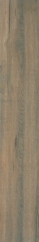 Przejdź do produktu Grespania Sajonia Nogal 19,5X120 cm / 19SJ99T
