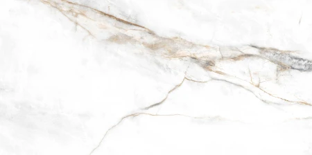 6d5e9c6a457b14ff258bcac5bc6fc8e8