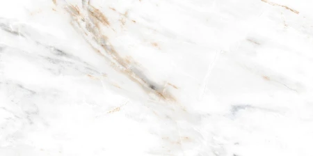 6ddca8798d1ca0ccd81b73d51c6d9370