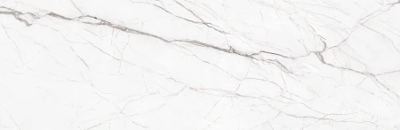 d5ea6c7a3d810342694e585db3fc0166