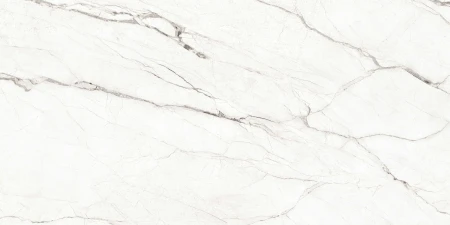 872c3228c4c8e7a463fd19742bccf590