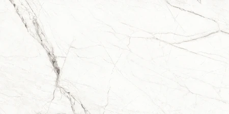 2fa8573050bfd570606bde8b582aa080