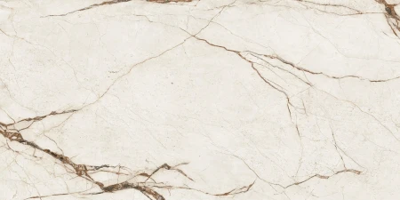 6744256101ef24b9914b556af8f014bd