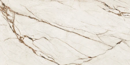 7891680f7cd1bf585e58c59446d56ae6