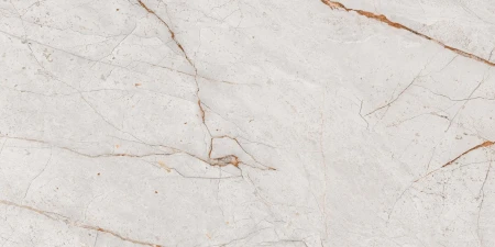 4676507fbf93dfbf6a27758e1fc99a39