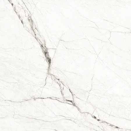 0f5a436cb839e1ad29651ca53fc72c26