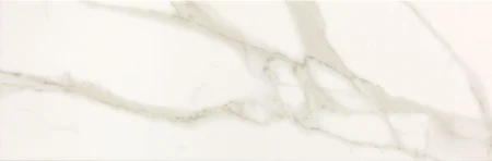 ee45ee60c7071b5e6e41f4f6c7e56a99