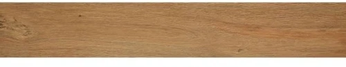 Przejdź do produktu Fap Roots Gold 20x120 out / fPXR