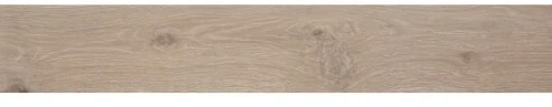 Przejdź do produktu Fap Roots Taupe 20x120 out / fPXT