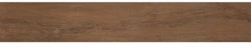 Przejdź do produktu Fap Roots Tobacco 20x120 out / fPXU