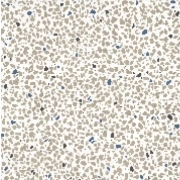 Przejdź do produktu Fioranese Cementine Retro Bianco 1 20x20 cm naturale rekt./CMR20G1