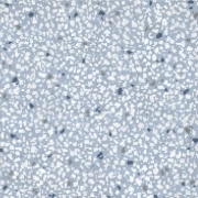 fed740d65acad3c612ac49cfe0dccbd2