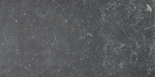 Przejdź do produktu Fioranese Manoir NoirHainaut 30.2x60.4 cm naturale rekt./MO367R