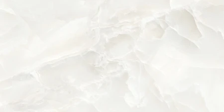62ee9ae26c6b4a58b9fab026d2d579ea