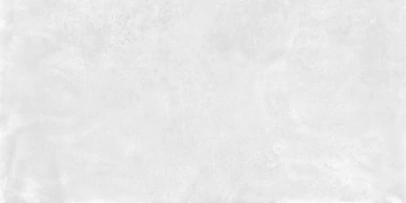 d711b04c0c360247c7a6b96924ea663e