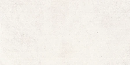b500eb53d2461a4aeadcd5a9f17801e7
